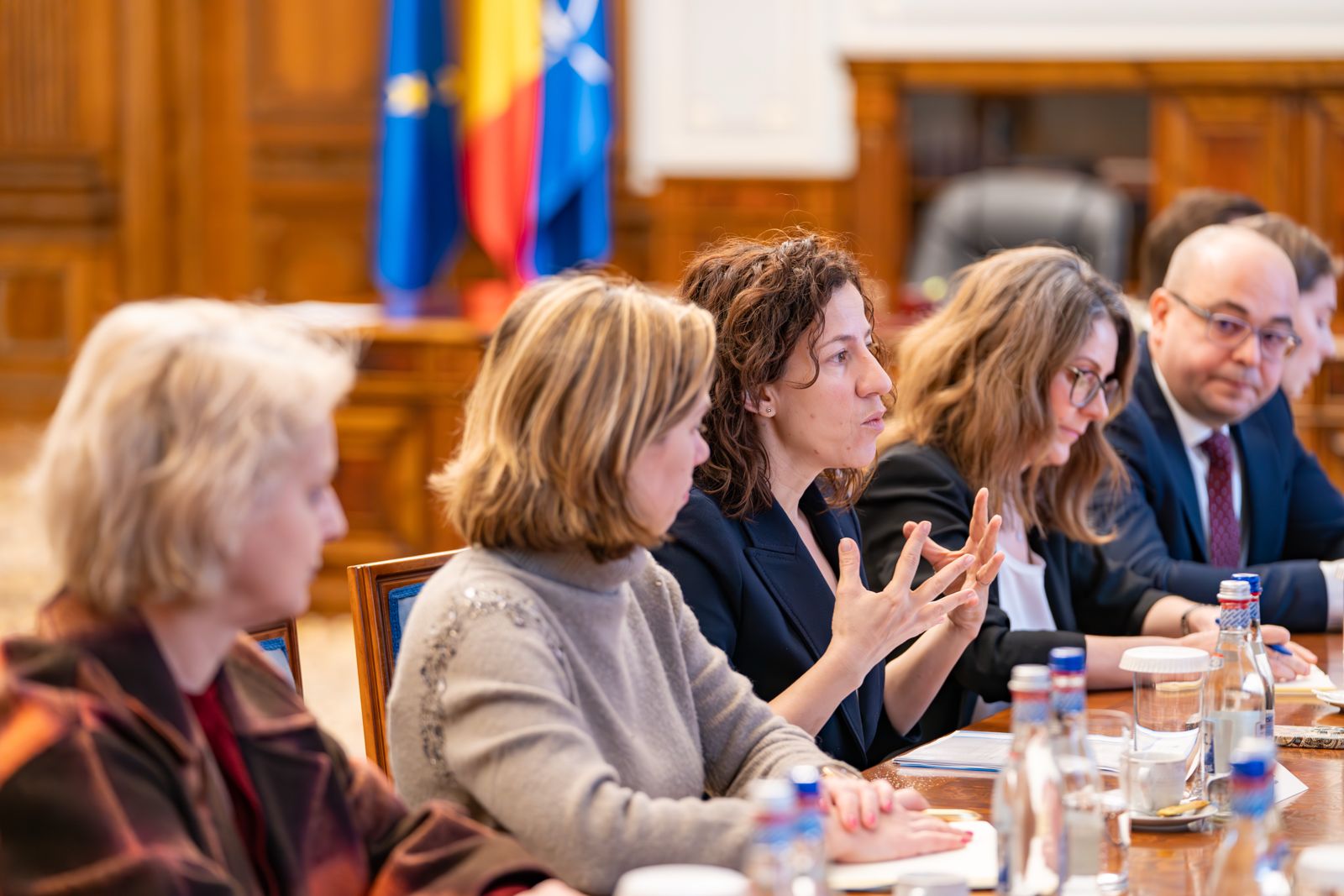 Întrevederea președintelui Senatului, Ilie Bolojan, cu vicepreședinta executivă a Comisiei Europene, Roxana Mînzatu